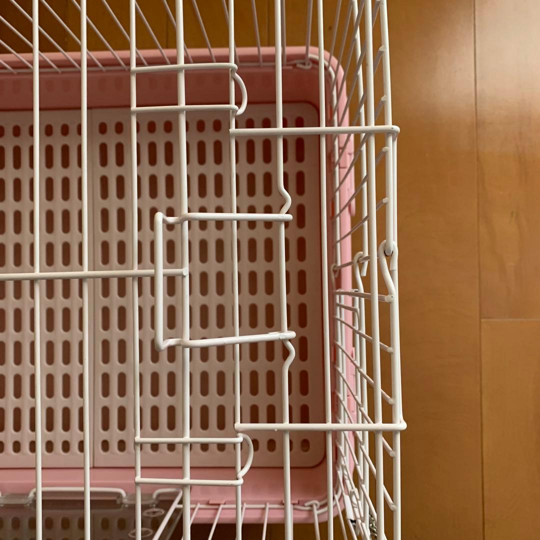 マルカン ゲージ うさぎ ピンク ウサギ