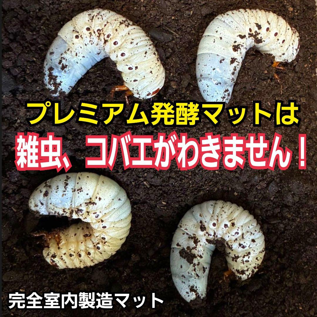 カブトムシ幼虫が巨大化！プレミアム3次発酵カブトムシマット【50L】産卵にも抜群