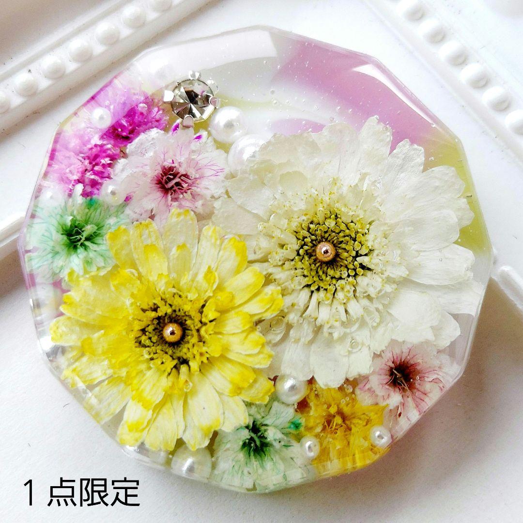 【1486】たまごらいふ　レジン　ヘアゴム　ポニーフック　ブロ―チ