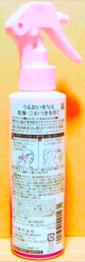 セグレタ