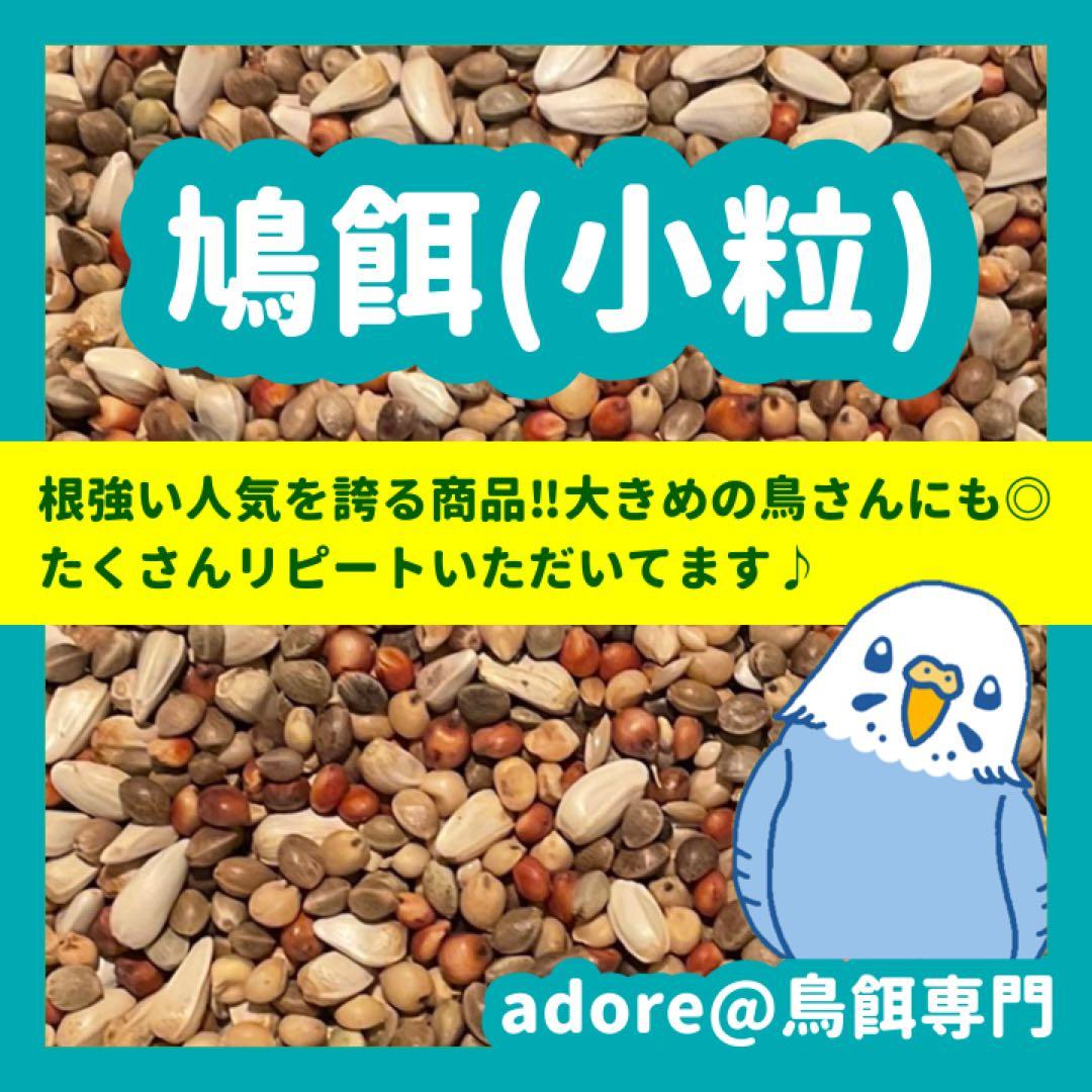 【はなはっち】鳥の餌セット