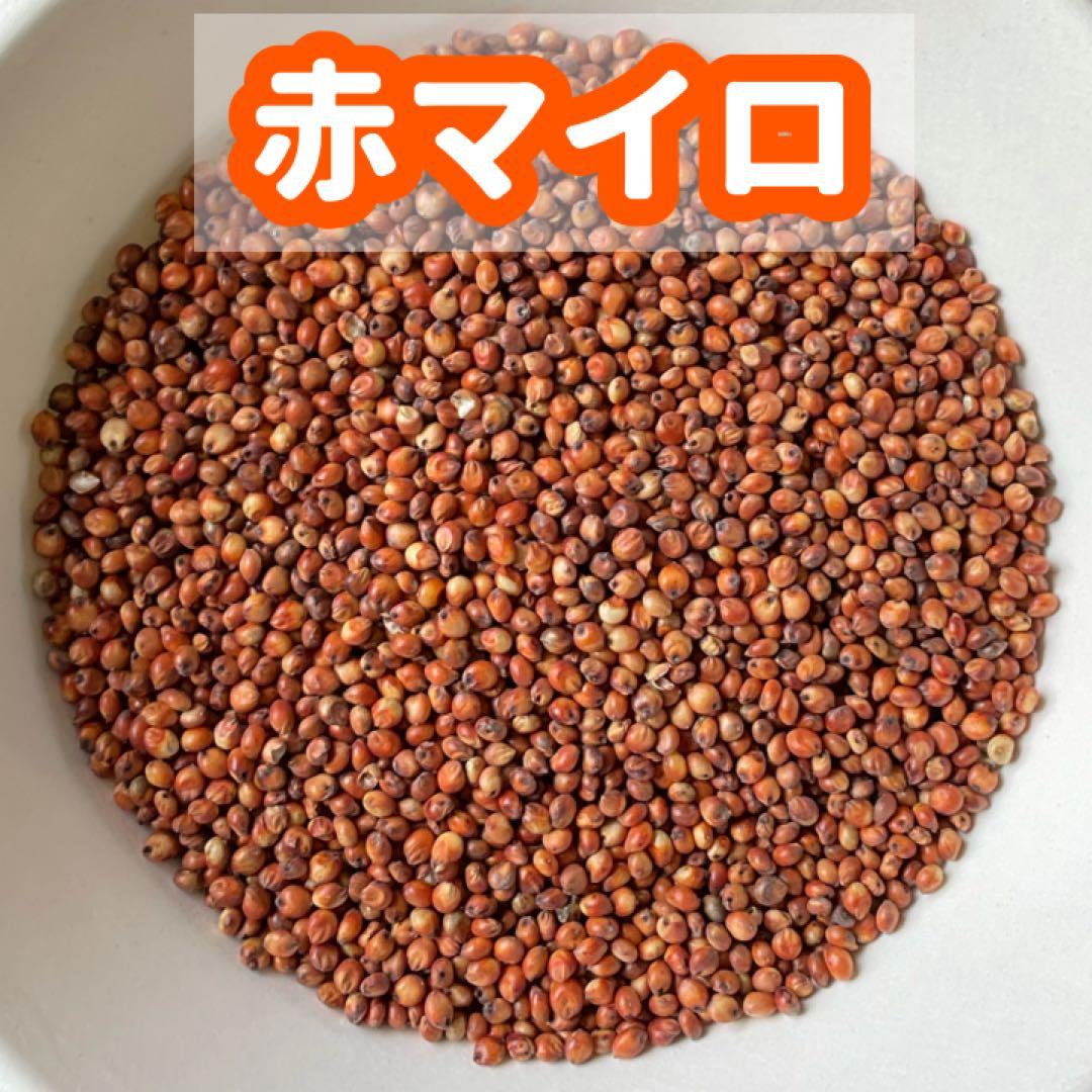 【はなはっち】鳥の餌セット