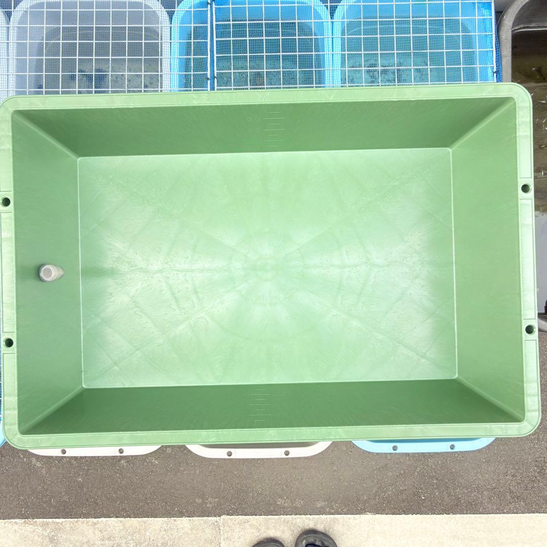 メダカ容器 トロ舟 80L オーバーフロー 1個 Wパッキン 雨対策 高耐久