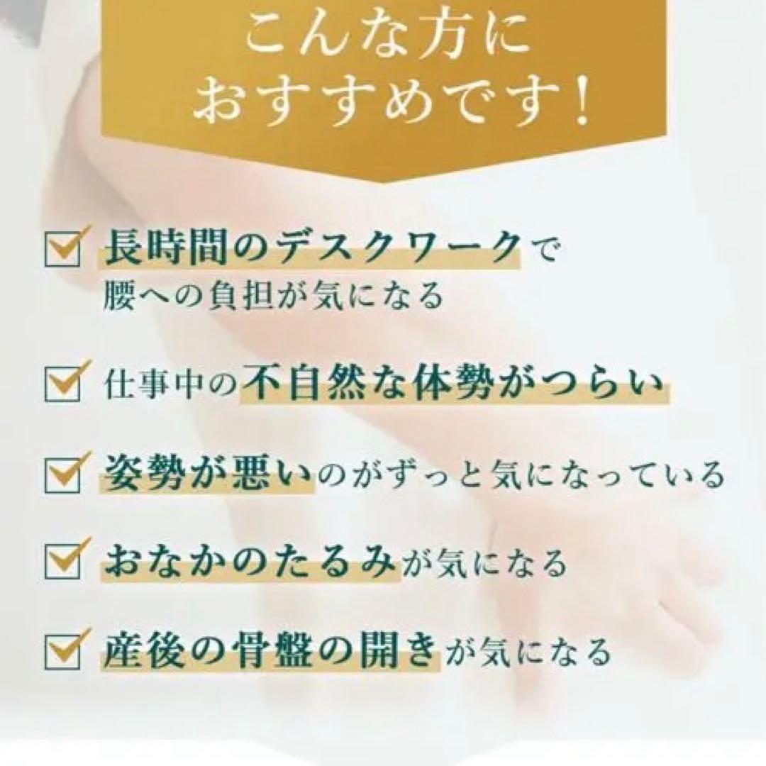 (公式)GUARDNER 腰痛ベルト Lサイズ