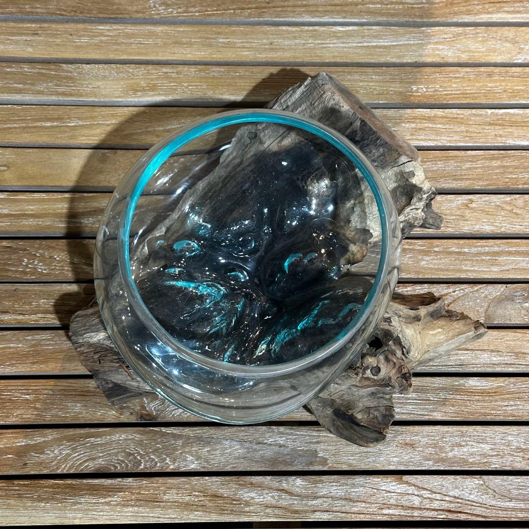 【送料込】バリ島流木ガラス　ガラスΦ20cm前後 苔リウム205Eアクアリウム