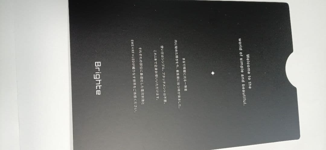 Brighte 美顔器 ブラシ型