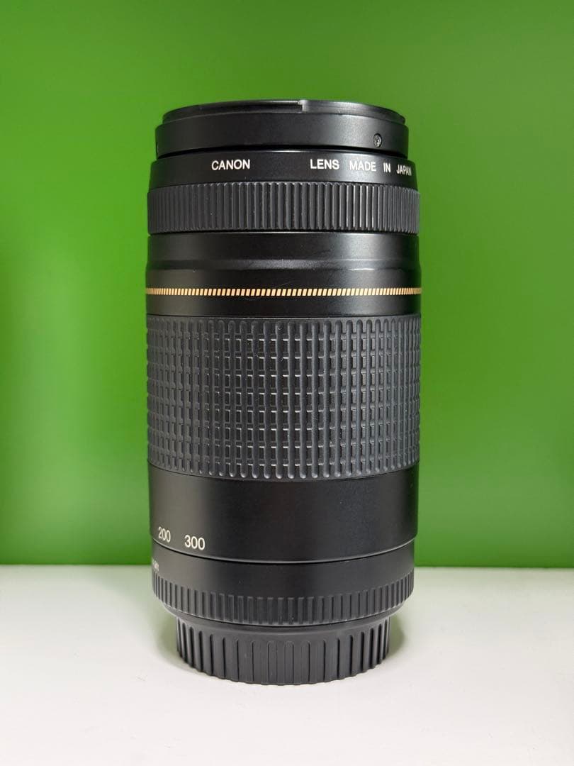 Canon EF75-300mm F4-5.6 II ズームレンズ
