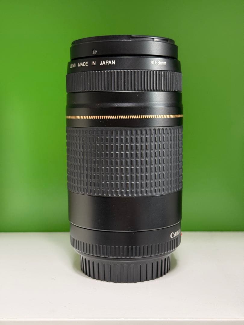 Canon EF75-300mm F4-5.6 II ズームレンズ