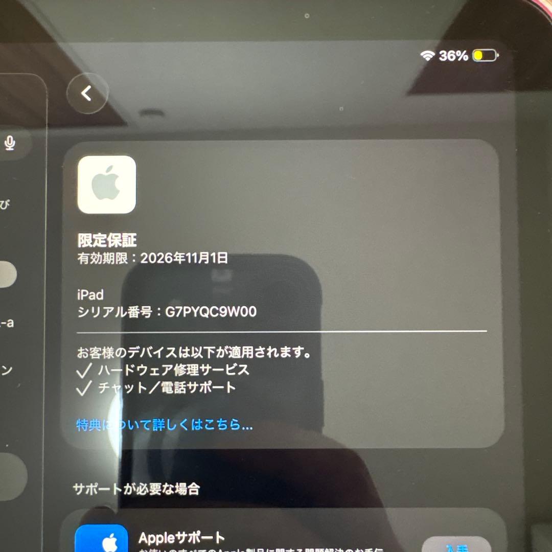 Apple iPad (A16) 本体　付属品多数