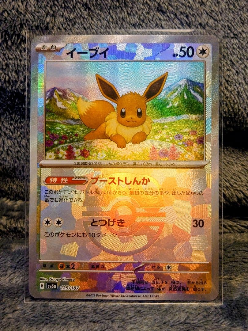 イーブイ　マスボ2枚