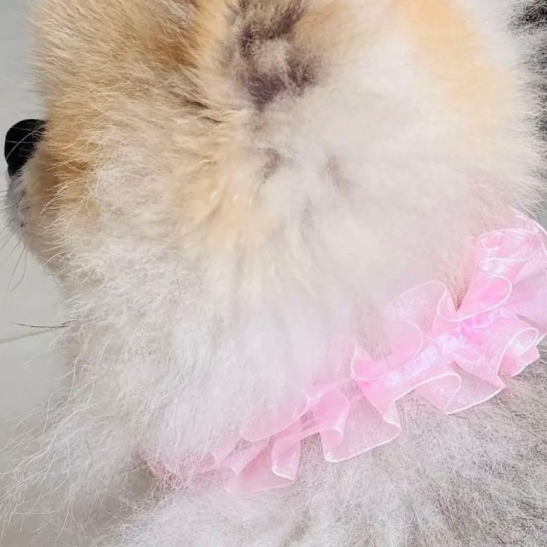 お花見✿春のお名前入りフリルチョーカー✿ ピンク✿オーダーメイド