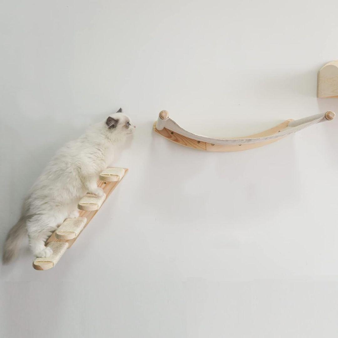 キャットウォーク&ハンモック 壁付け 猫用 階段 インテリア