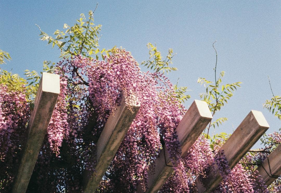 【動作確認済み・作例あり】Olympus PEN EE-3