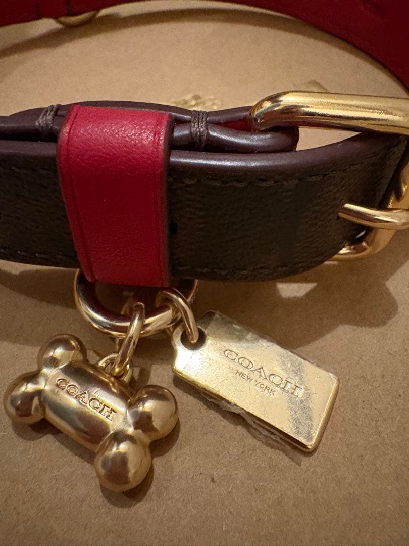 COACH dog collar コーチ犬の首輪　新品未使用