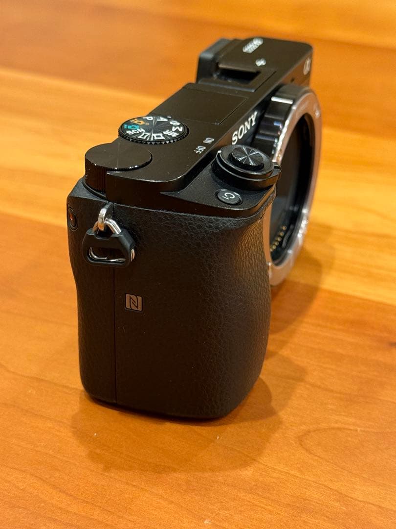 【撮影枚数5800】SONYα6000 ズームレンズ2本セット