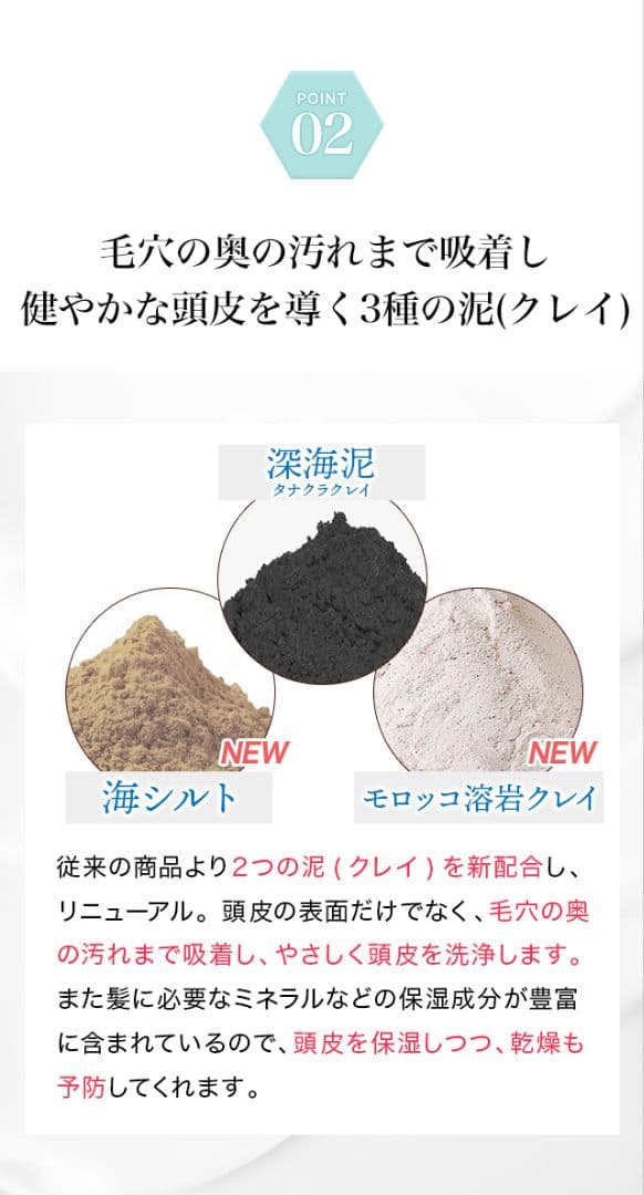 ナチュラルガーデン　ブラック　ナチュラル シャンプー 2本セット　超高級　超最高