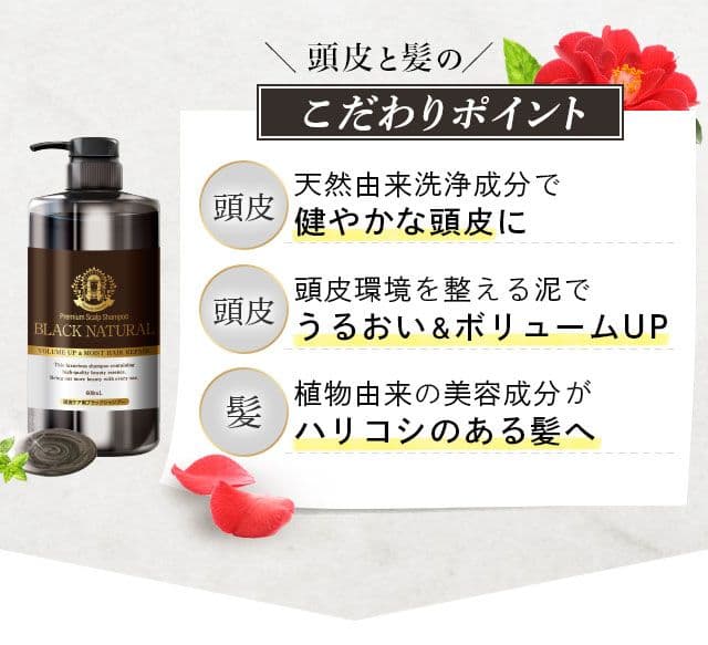 ナチュラルガーデン　ブラック　ナチュラル シャンプー 2本セット　超高級　超最高