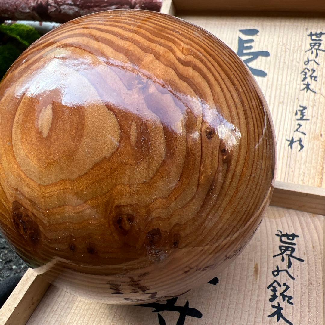 【希少品】世界遺産 世界の銘木 屋久杉 長寿の珠 米山工芸　木箱入り