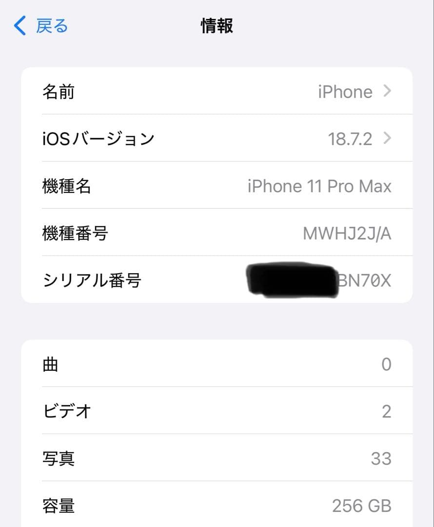 Apple iPhone 11 Pro Max 256GB SIMフリー 極美品