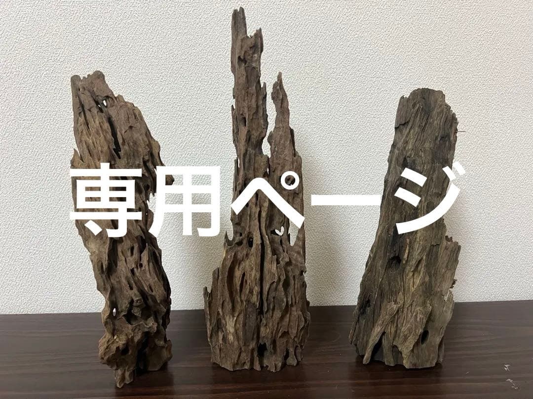 XM-508 流木　マシンガンウッド　アクアリウム　ブランチウッド　沈水確認済