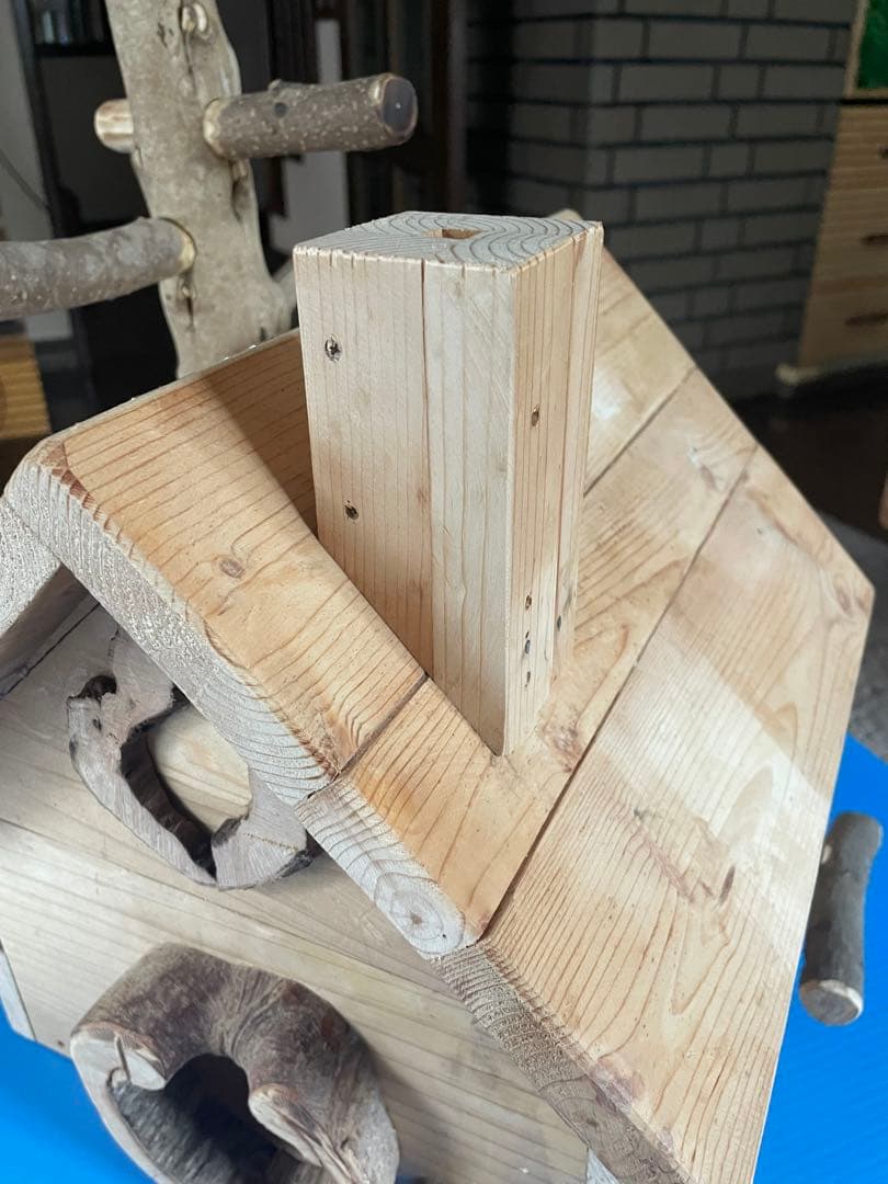 山小屋風鳥の遊び場
