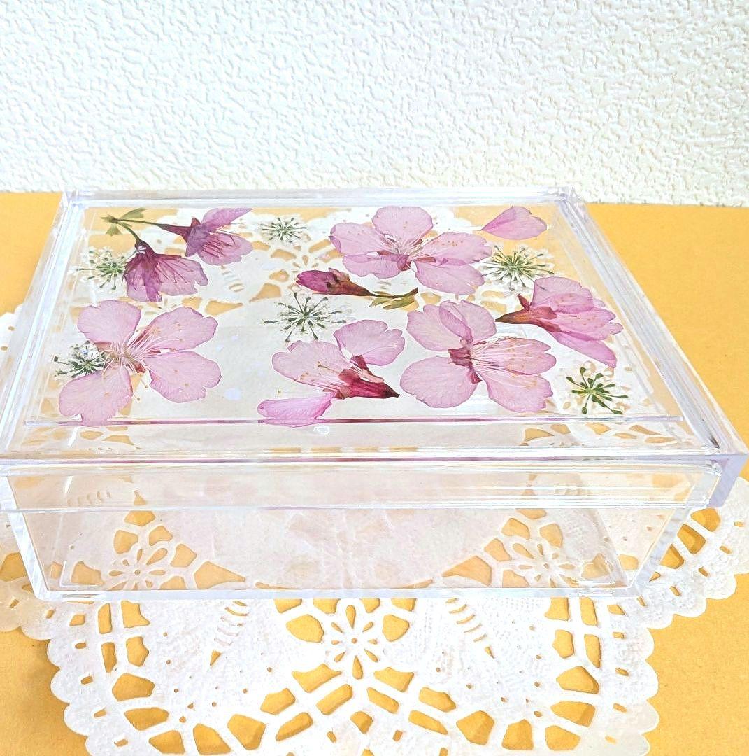 専用 固まるハーバリウム❁お花のクリアケース❁⑤