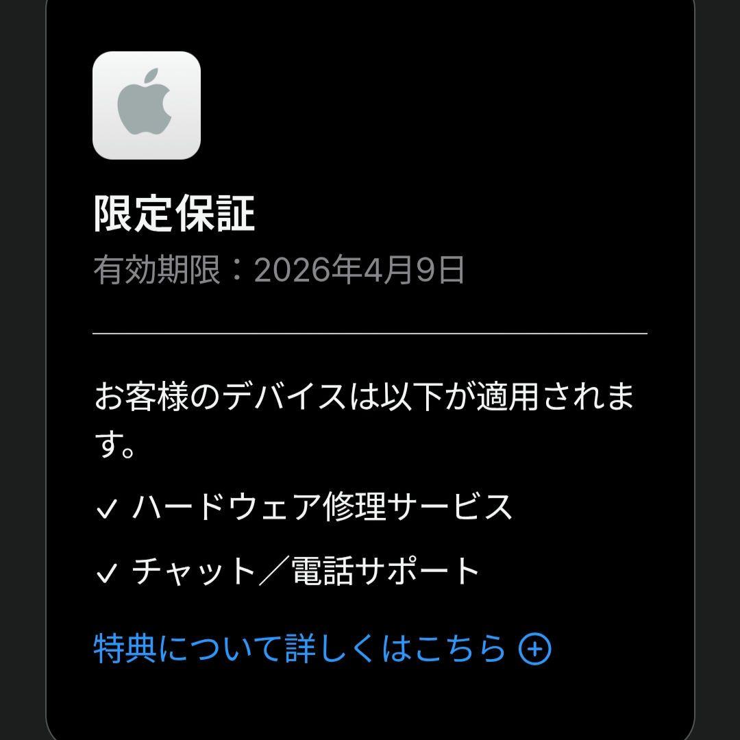 Apple Pencil USB-C 純正ペン先3つ付き