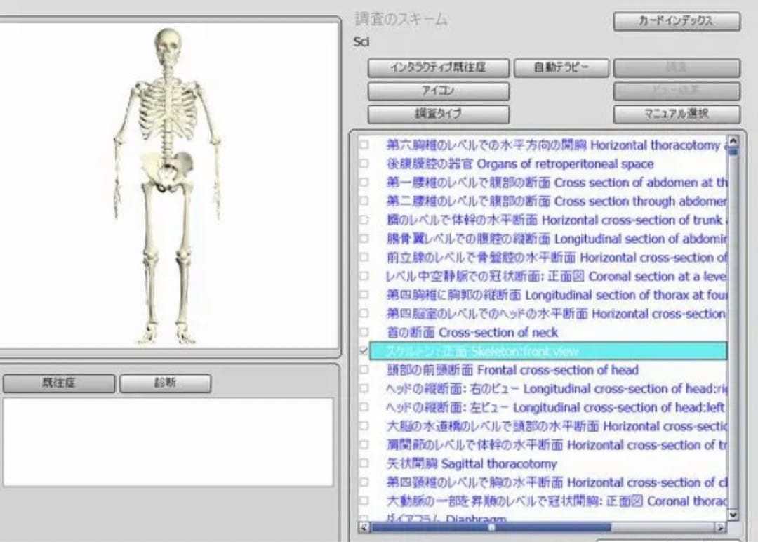 バイオプラズマ【カスタマイズ和訳版】