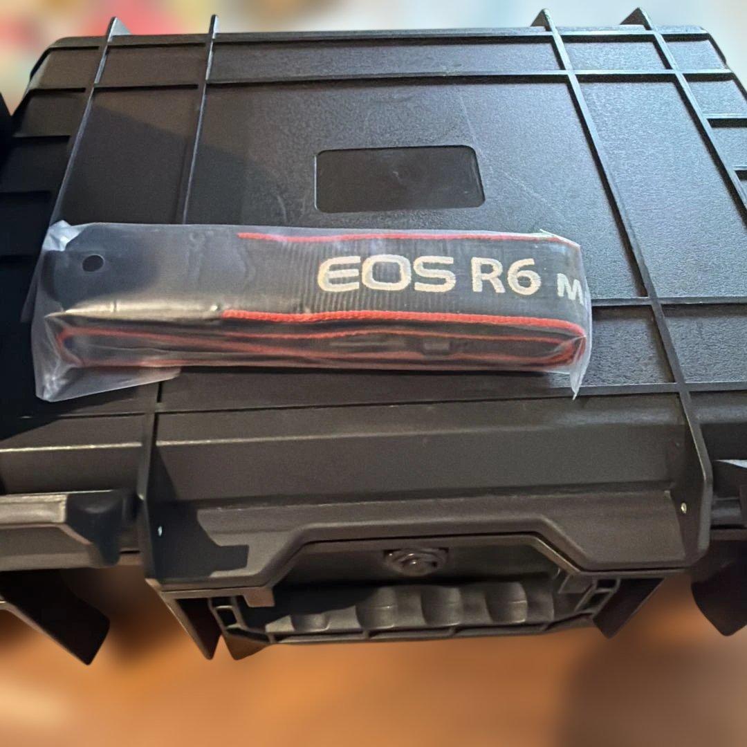 【美品】Canon EOS R6 Mark II 本体/ 充電器　sdカード
