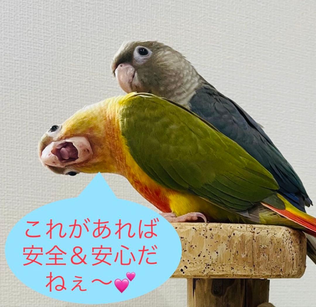 【3個】ペットヒーター 保温電球 カバー 保護ケース メッシュ 鳥 いたずら防止