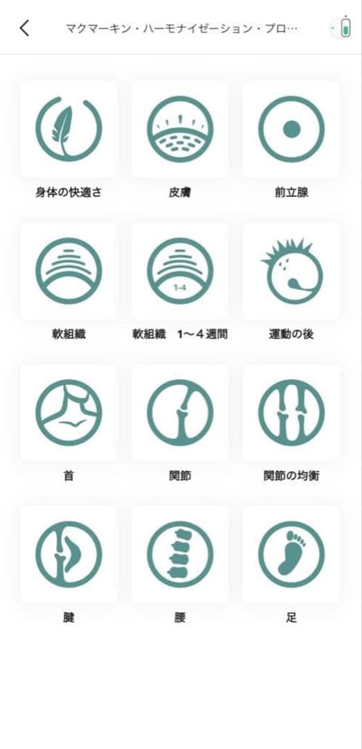 【定価584,800円】マグヒーリープロフェッショナル＆経絡モジュール2年保証付