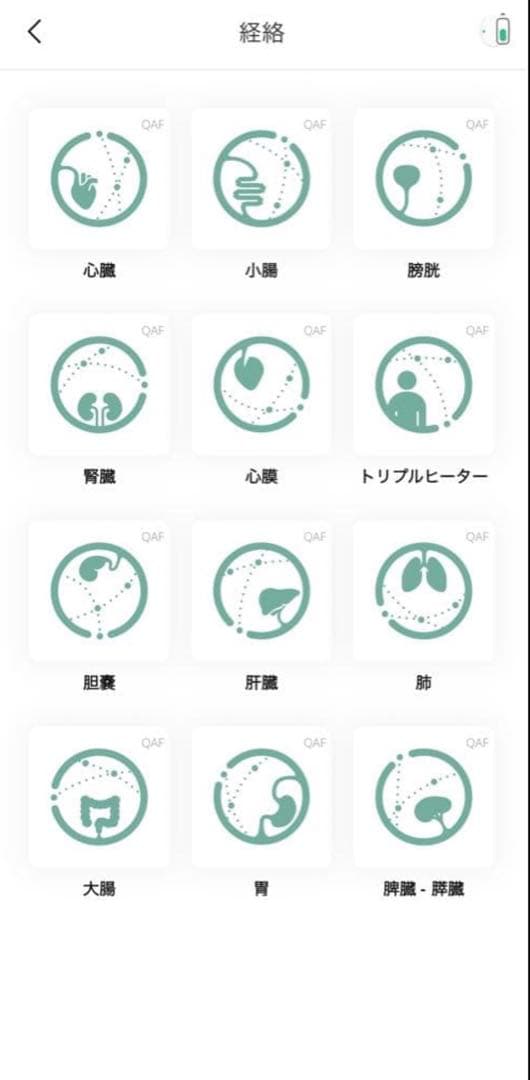【定価584,800円】マグヒーリープロフェッショナル＆経絡モジュール2年保証付