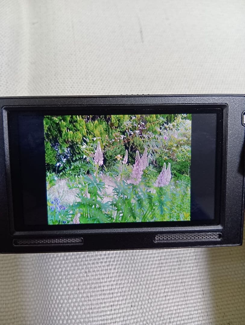 【動作確認済み】ソニー ビデオカメラ SONY HDR-PJ20
