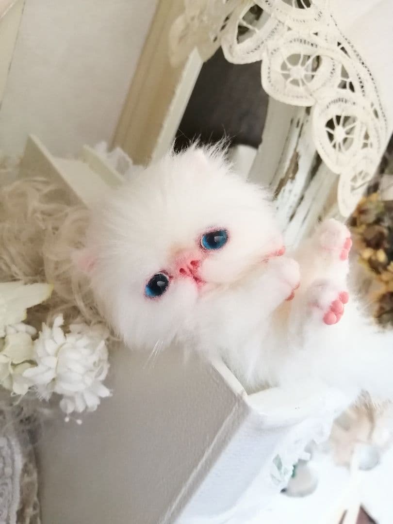 ミニミニ子猫ちゃん♡エキゾチック♡アートドール♡ぬいぐるみ♡ふわふわ♡