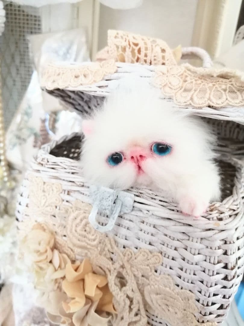 ミニミニ子猫ちゃん♡エキゾチック♡アートドール♡ぬいぐるみ♡ふわふわ♡