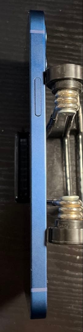Apple iPhone12 256GB ブルー SIMフリー 箱 おまけつき