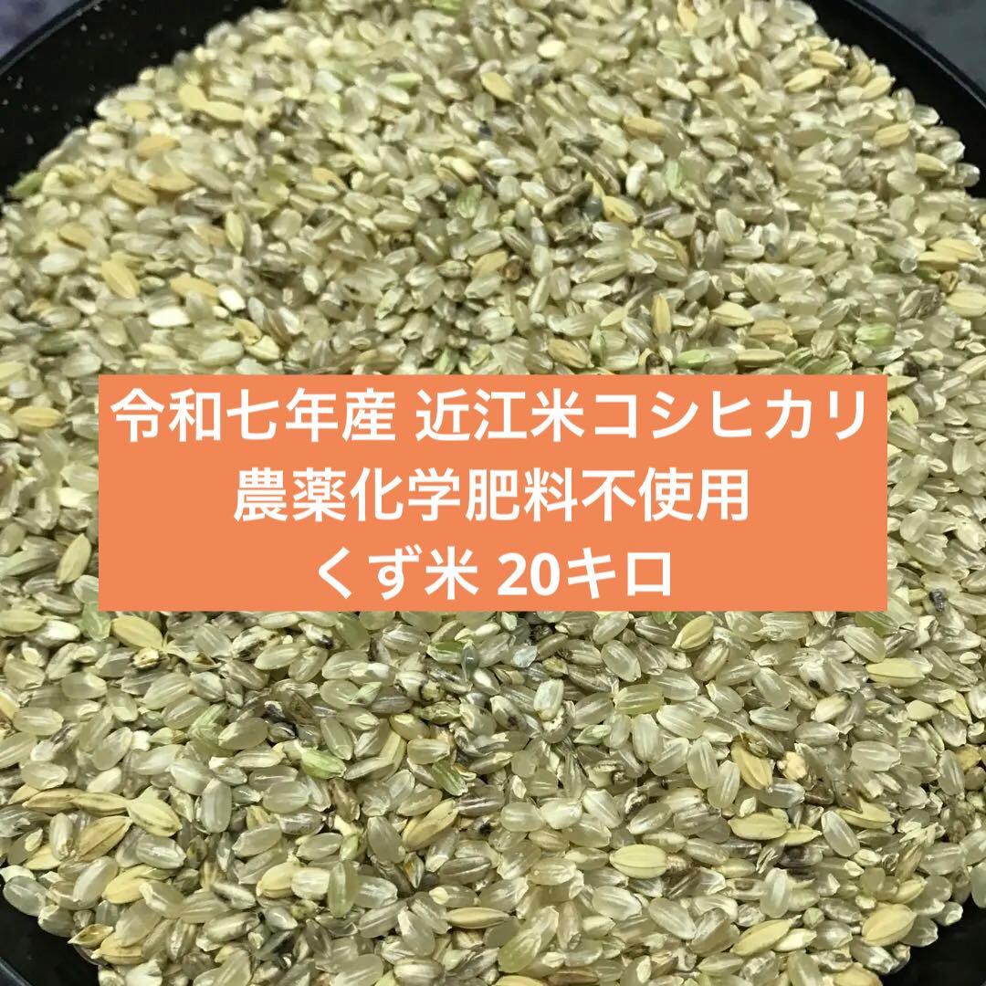 値下げ 令和7年産 くず米 20キロ 農薬化学肥料不使用のコシヒカリ 安全安心