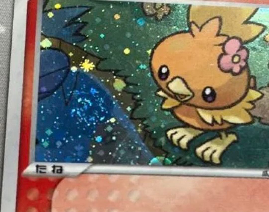 渦巻きホロ有　ポケパークのアチャモ フォレストシート　002/009