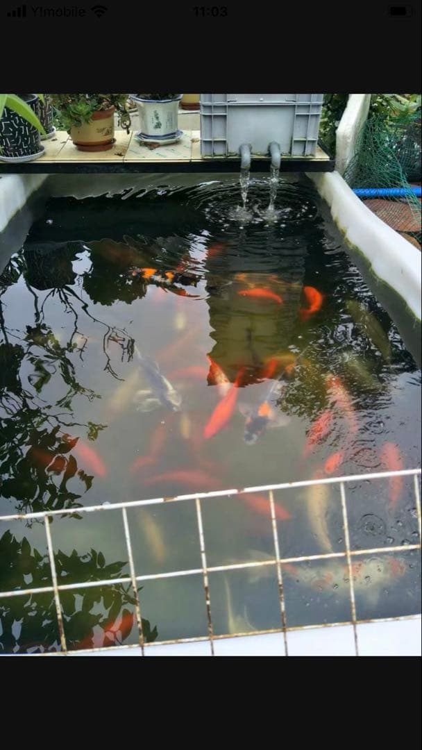 水中ポンプおまけろ材付きフルセット池大型水槽用濾過器フィルター 到着すぐ使える