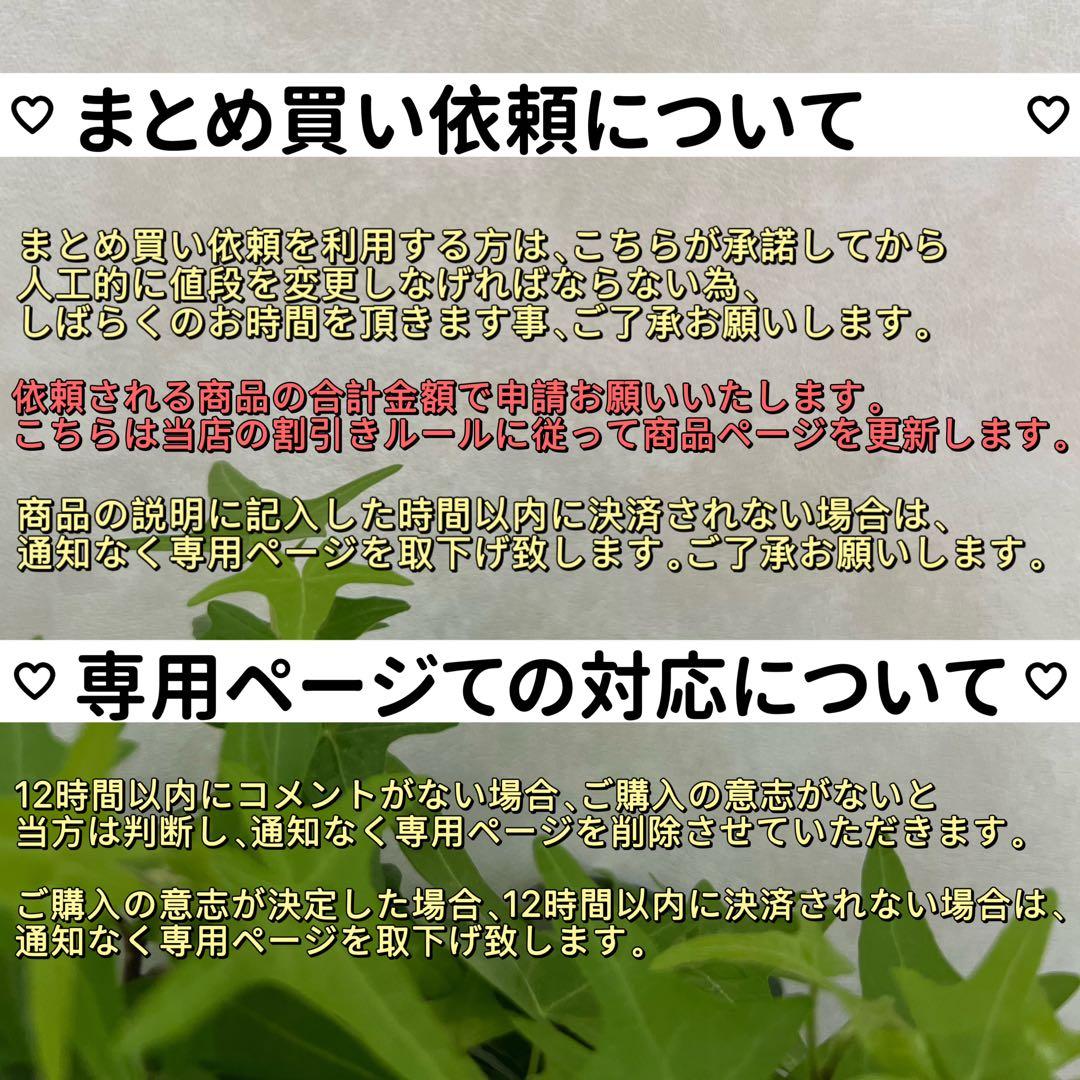 バンビママ様3点まとめ2粒フラットスクエアパールピアス　スティックパールピアス