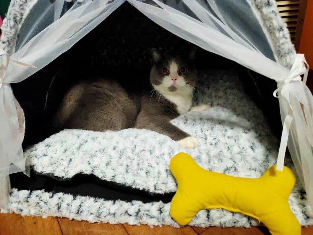 猫小屋冬の保温猫テント猫小屋猫の家閉鎖式ペットベッド四季共通の犬小屋別荘用品