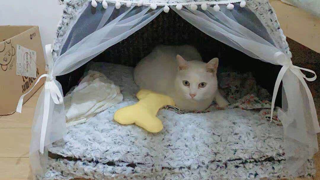 猫小屋冬の保温猫テント猫小屋猫の家閉鎖式ペットベッド四季共通の犬小屋別荘用品