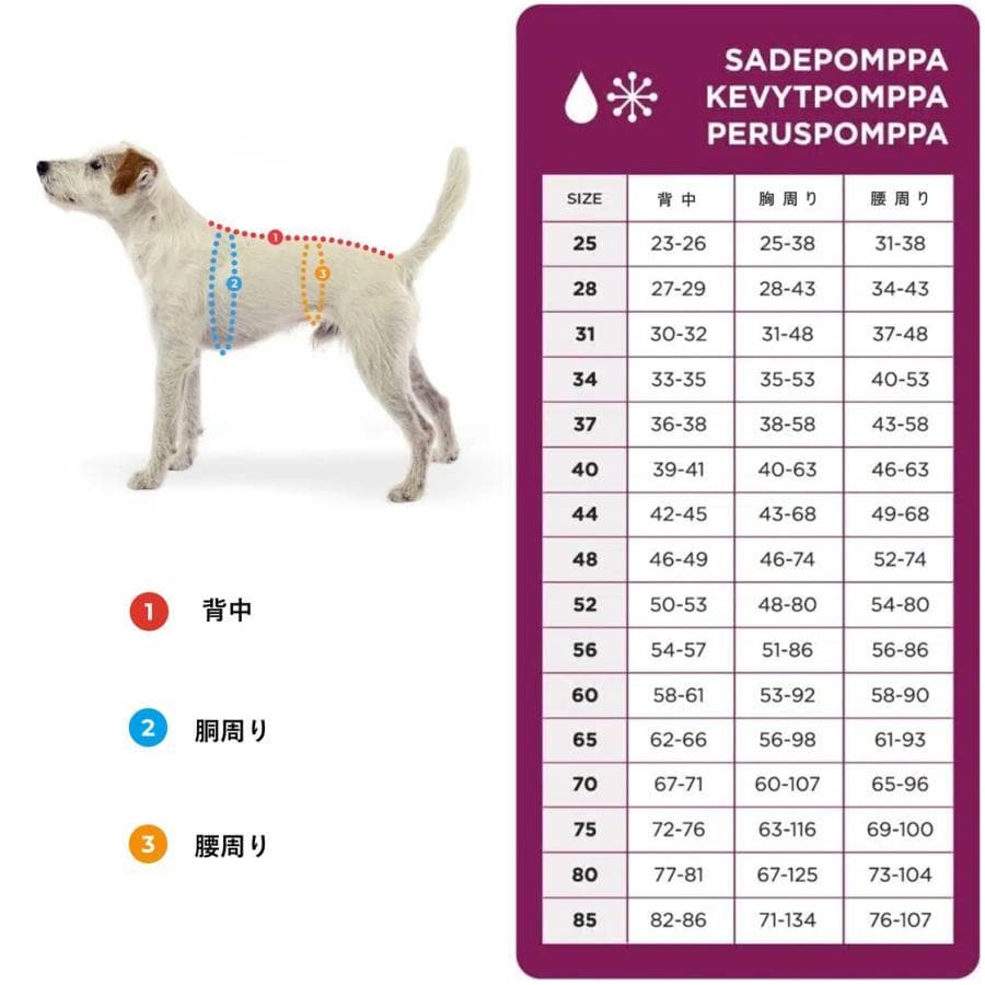 ポムッパ　ペルス　ペトロール　サイズ60