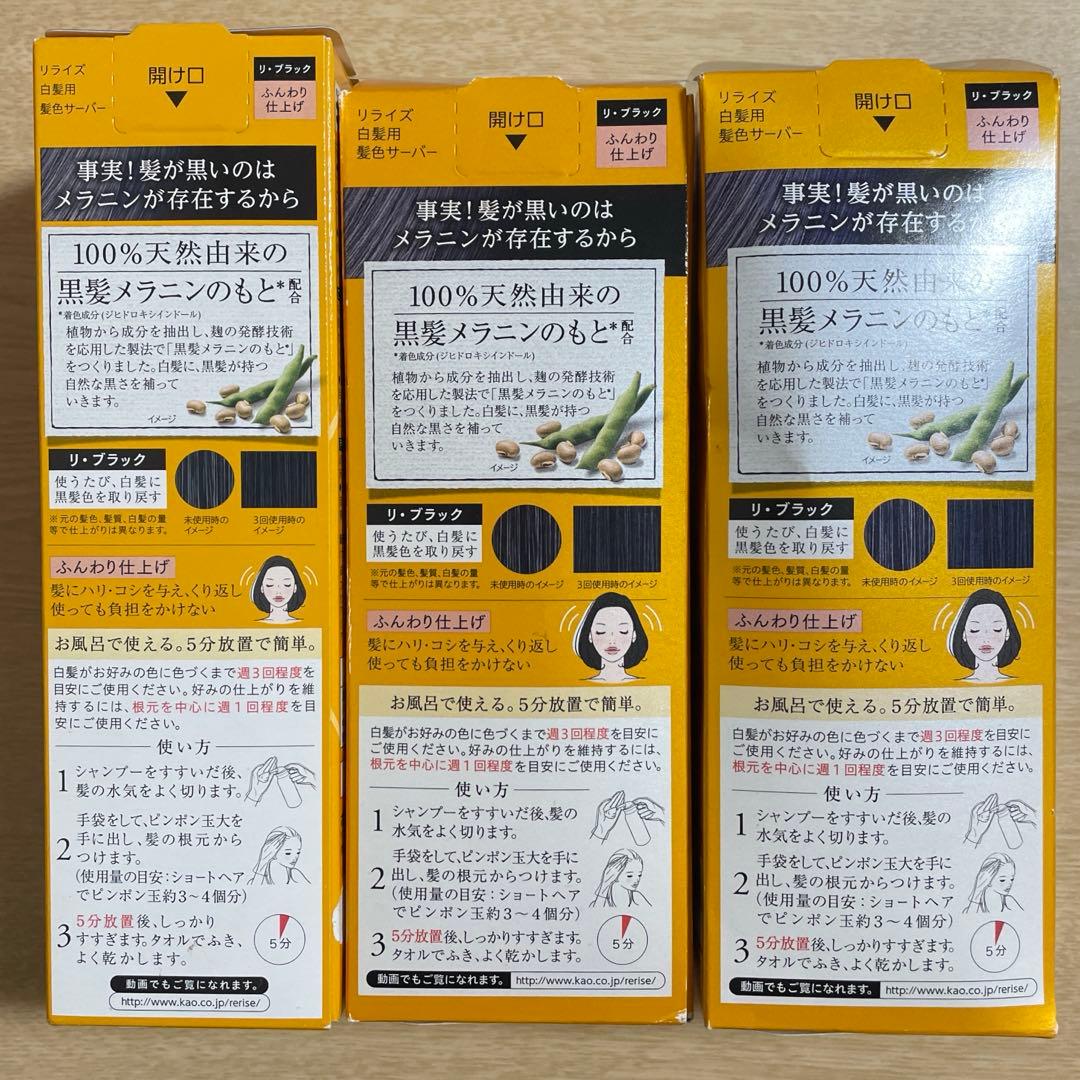 リライズ 白髪用髪色サーバー リ・ブラックふんわり仕上げ本体2本替え用1箱セット