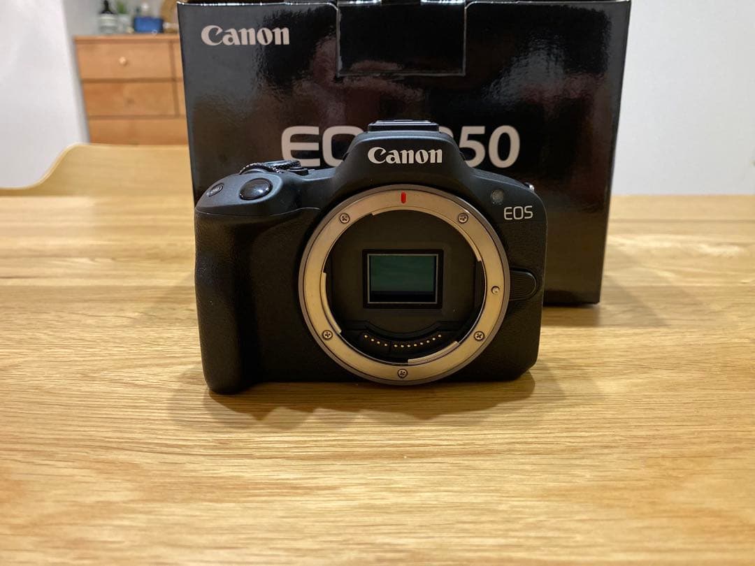 EOS R50 レンズキット