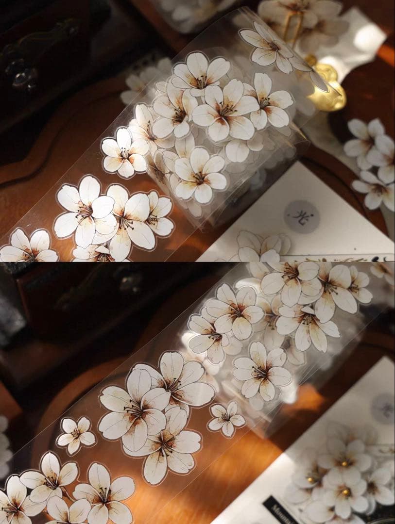 PET 花信微白 ダイカット加工 5cm×5m 海外マスキングテープ