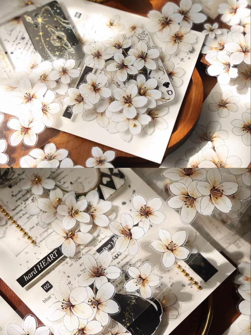 PET 花信微白 ダイカット加工 5cm×5m 海外マスキングテープ