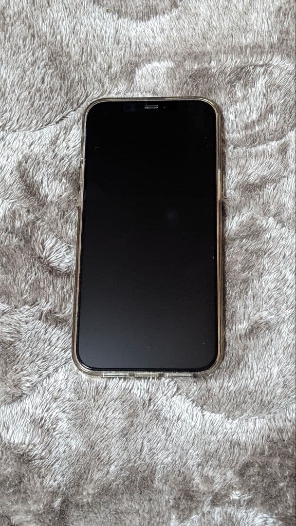 即日発送 iPhone 12 Pro Max 128GB