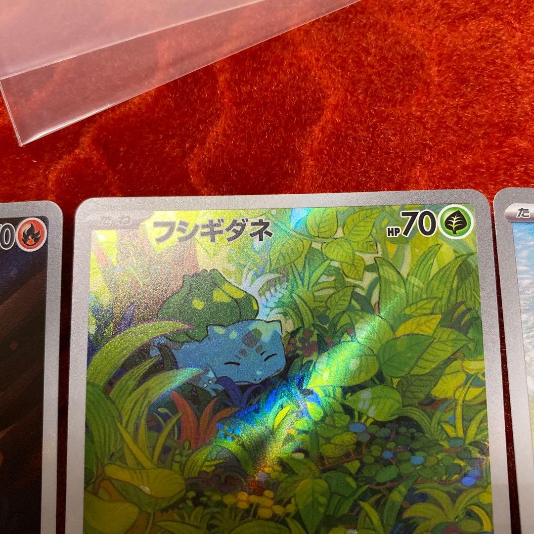 御三家ARセット！ポケモンカード ヒトカゲ フシギタネ ゼニガメ