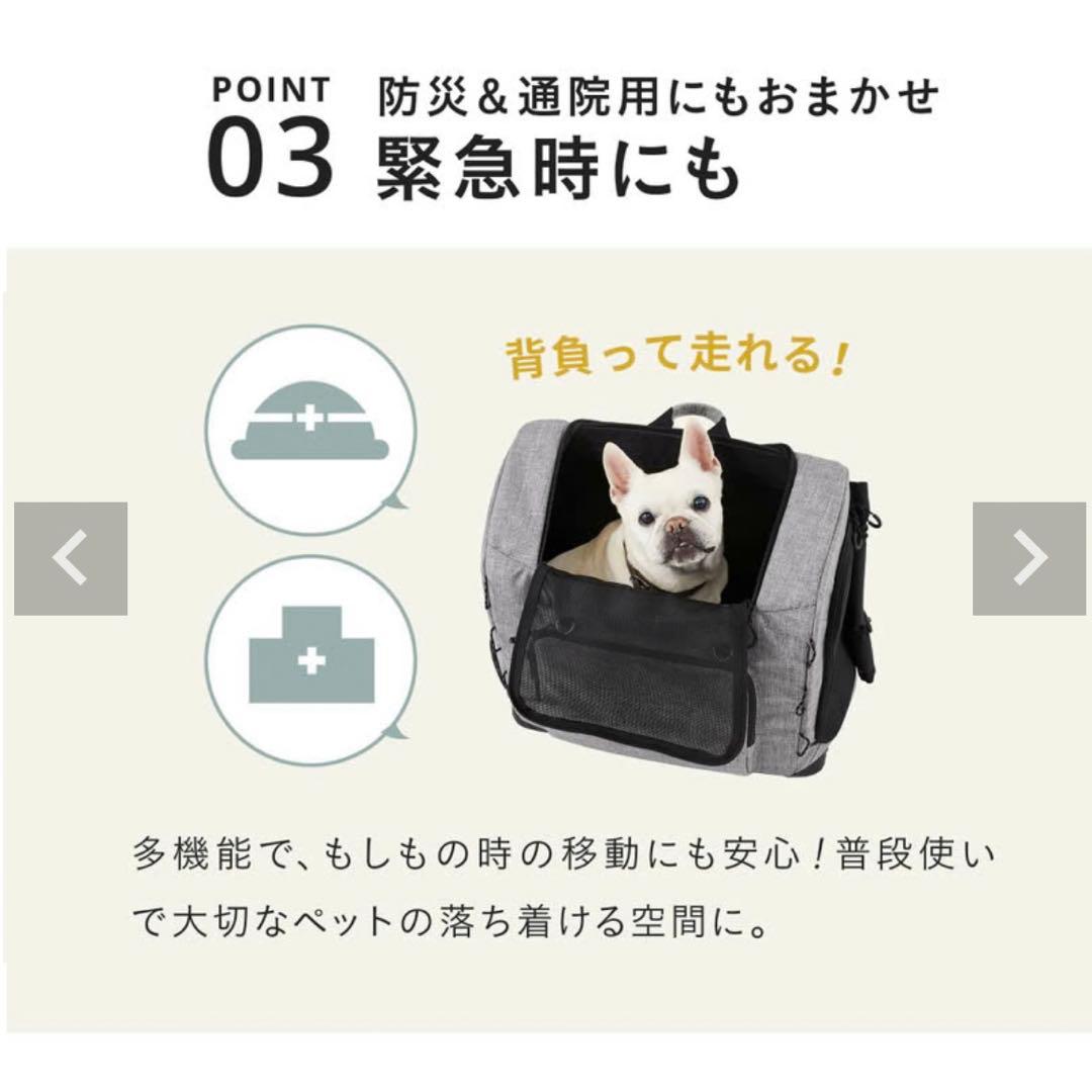 AIRBUGGY エアバギー 3ウェイバックパックキャリー [ワイドサイズ]